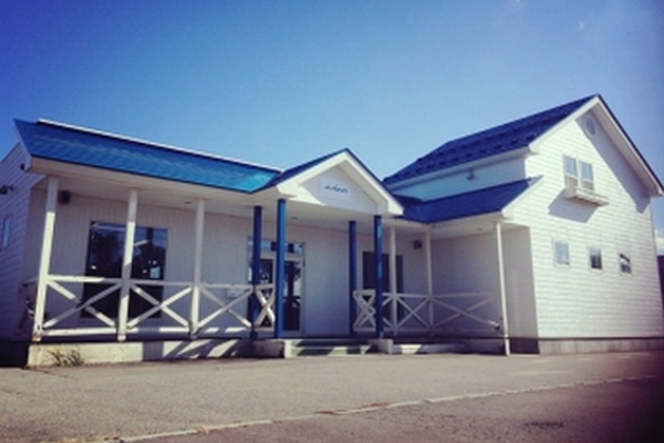 ��� ���� ���k �I�[�v�j���O�X�^�b�t���W ���e�t ���l �]�E ���ҋ� alice hair